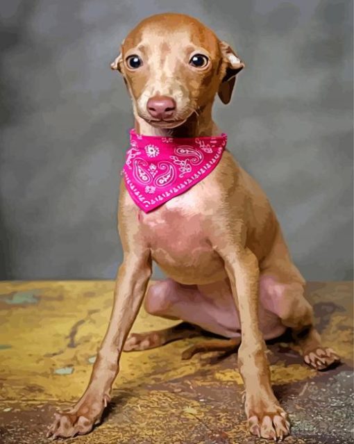 Cute Brown Greyhound paint by numbers