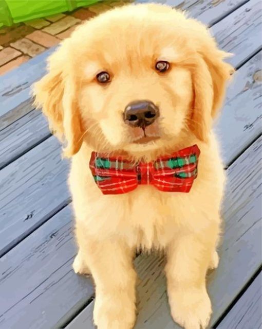 Cute Golden Retriever Puppy paint by number