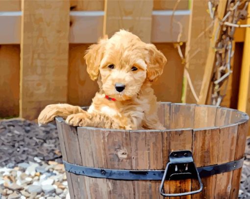 Cute Goldendoodle paint by number