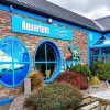 Dingle Oceanworld Aquarium paint by numbers