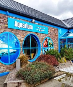 Dingle Oceanworld Aquarium paint by numbers