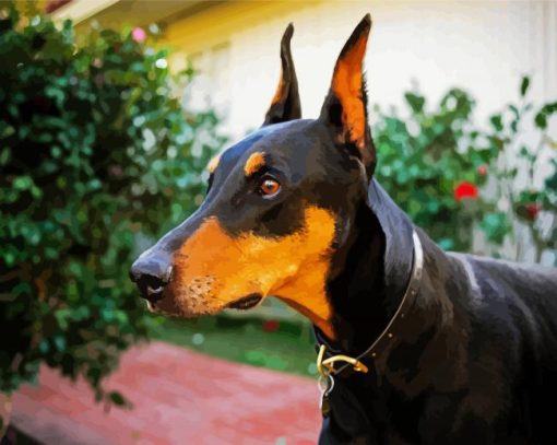 Doberman Pinscher Dog paint by number Breed paint by number