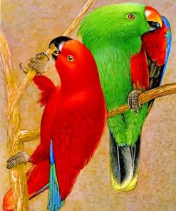 Eclectus Parrots Birds paint by number