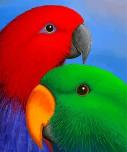 Eclectus Parrots Heads paint by number