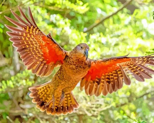 Flying Kea Bird paint by numbers