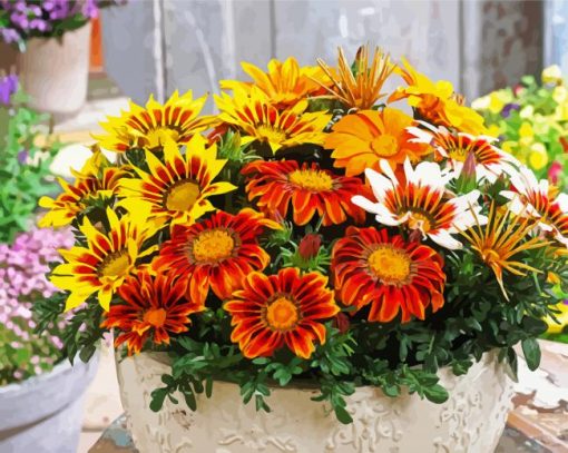 Gazania Rigens paint by numbers