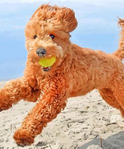 Goldendoodle Playing paint by numbers