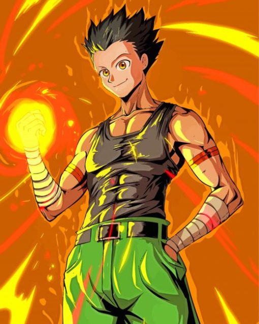 Gon Hunter X Hunter paint by numbers