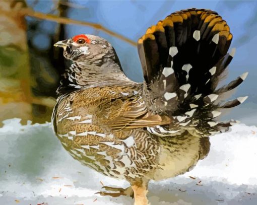 Grouse Bird Animal paint by number