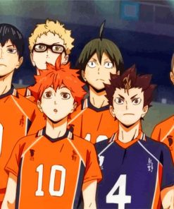 Karasuno Haikyuu paint by numbers