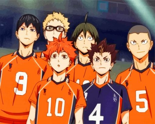 Karasuno Haikyuu paint by numbers