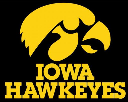 Hawkeyes Football paint by numbers