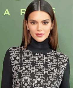 Kendall Jenner paint by number