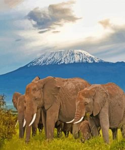 Kenya Amboseli Elephants paint by numbers