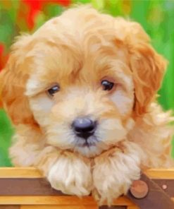 Mini Goldendoodle Puppy paint by numbers