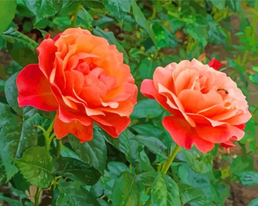 Orange Floribunda paint by numbers