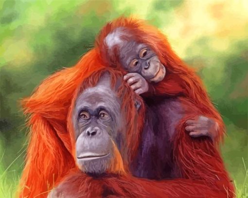 Orangutan Mother And Son paint by numbers