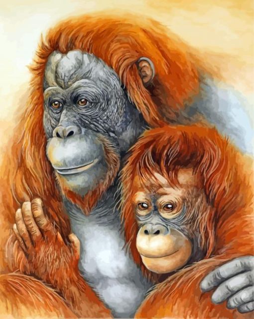 Orangutan Couple paint by numbers