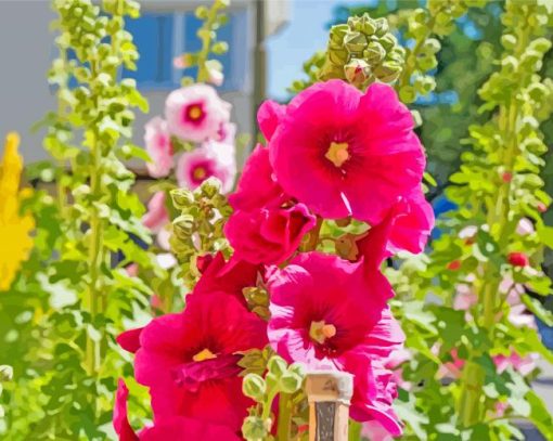 pink-hollyhocks paint by numbers