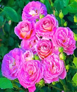 Purple Floribunda Flowers paint by numbers