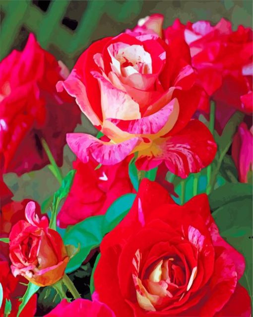 Red Floribunda paint by numbers