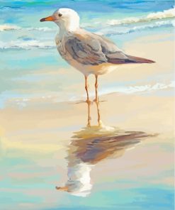 Seagull Bird paint by number