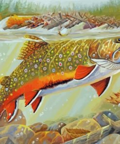 Trout Fish Underwater paint by numbers