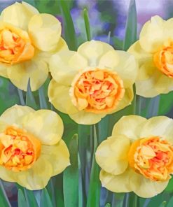 Yellow Daffodil Flowers paint by number