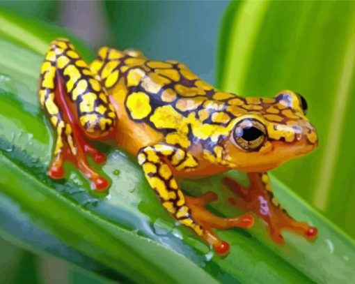 Yellow Groda Frog paint by numbers