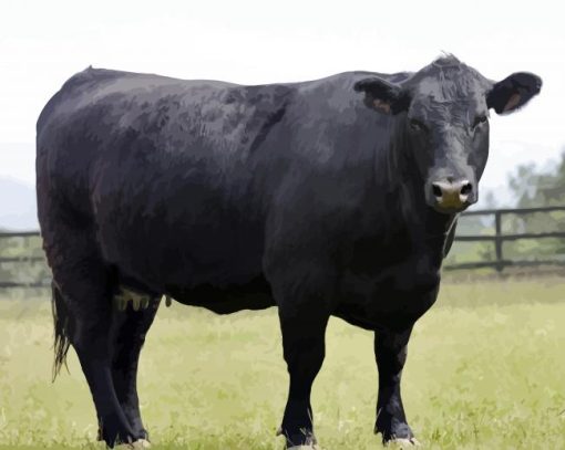 Aberdeen Angus paint by numbers