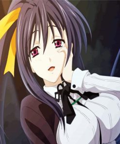 Akeno Anime Girl paint by numbers