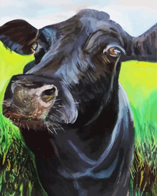 Angus Cattle paint by numbers