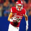 Arkansas Footballer paint by numbers