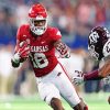 Arkansas Razorbacks Players paint by numbers