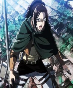 Attack On Titan Hanji paint by number