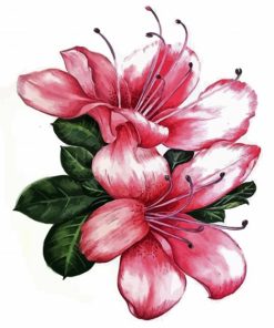 Azales Flowers Art paint by numbers