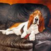 Basset Hound Dog paint by number