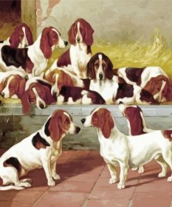 Basset Hound Puppies paint by numbers