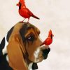 Basset Hound And Cardinals paint by numbers