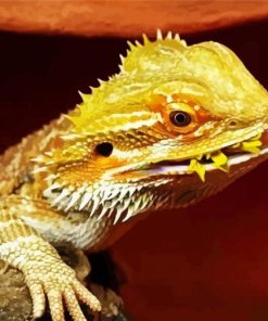 Bearded Dragon Lizard Eating paint by numbers