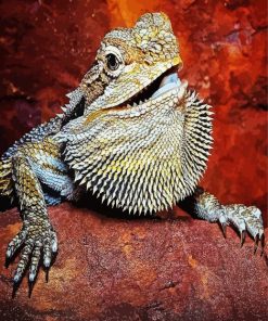 Bearded Dragon Lizard Reptiles paint by numbers