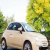 Beige Fiat 500 Car paint by numbers