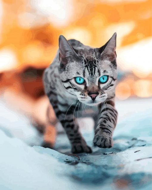 Bengal Cat Blue Eyes paint by number