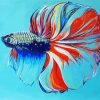 Betta Siamese Fish paint by numbers