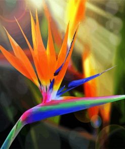 Bird Of Paradise paint by number