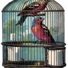 Birds In Cage paint by numbers