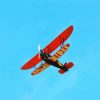 Black And Red Biplane paint by number