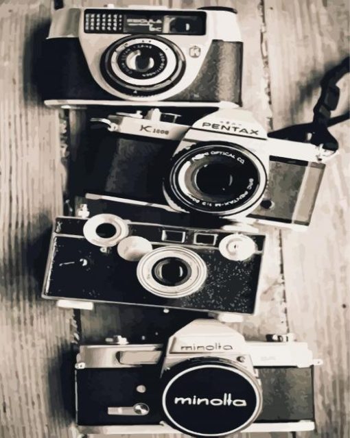 Black And White Cameras paint by numbers