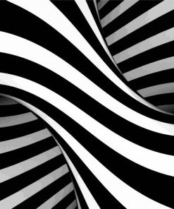 Black And White Illusion paint by numbers