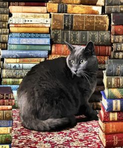 Black Cat Sitting Next To The Bookshelf paint by numbers